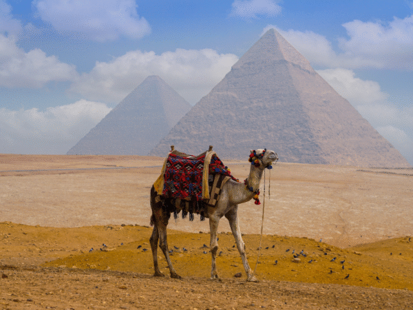 3-Day Cairo and Luxor by Round Trip Flight