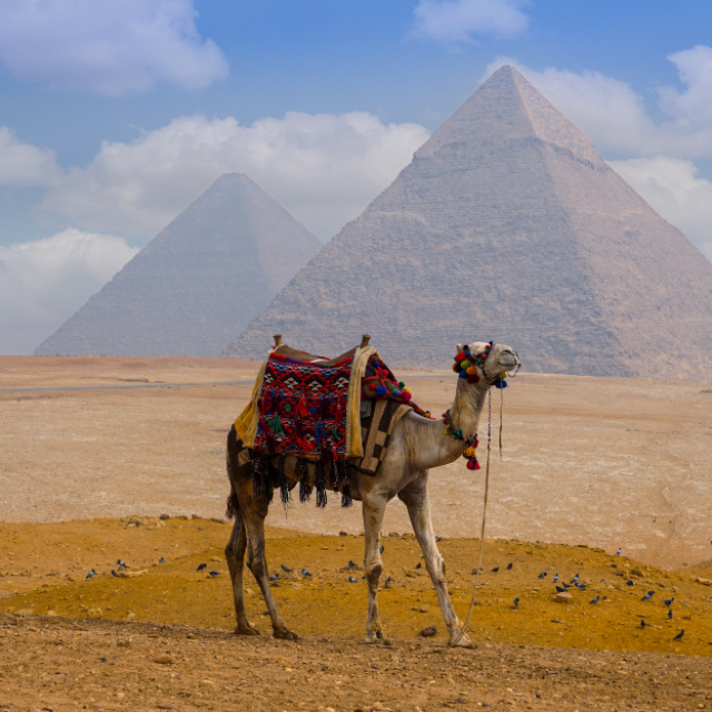 3-Day Cairo and Luxor by Round Trip Flight