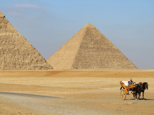 7-Day Cairo, Alexandria, Luxor, Edfu, Kom Ombo, Aswan, and Abu Simbel